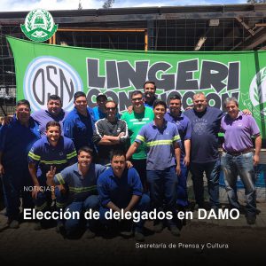 Lee más sobre el artículo Elección de delegados en DAMO