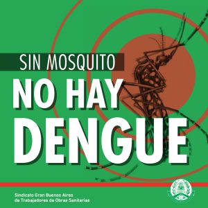Lee más sobre el artículo Sin mosquitos no hay dengue