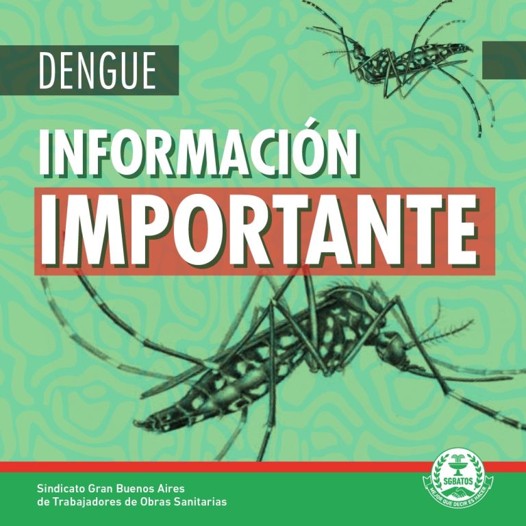 Dengue_info_impo_1