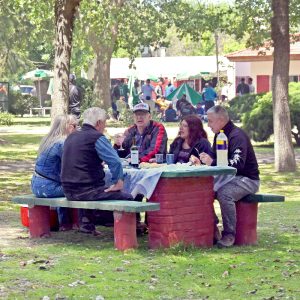 Lee más sobre el artículo ¡Este viernes abrimos el Camping!